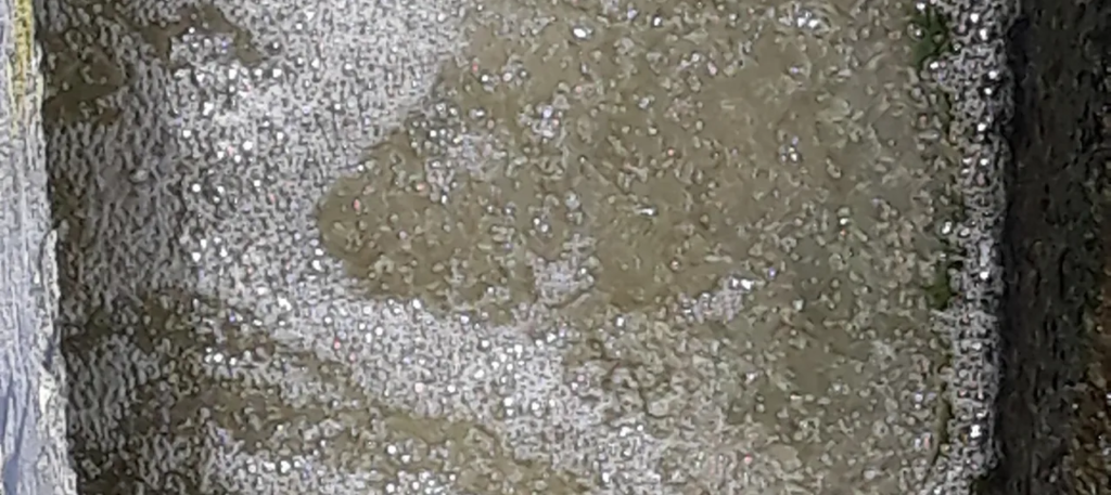 Nitrification – What's Needed?
