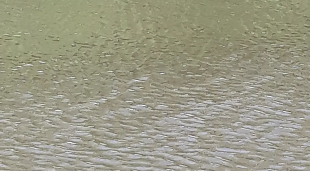 Knowing Your System, Nitrification as an Indicator?